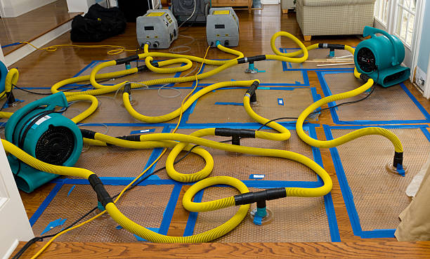 Professional Water Extraction technician working in West Point, UT